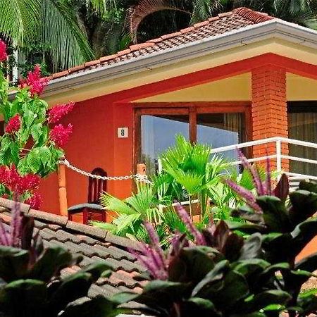 מנואל אנטוניו Hotel Villa Teca מראה חיצוני תמונה