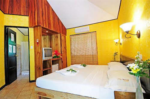 מנואל אנטוניו Hotel Villa Teca מראה חיצוני תמונה